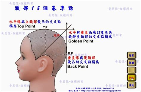 頭部七條基準線|髮型設計系列：15個基準點及7條主分區線的位置與作。